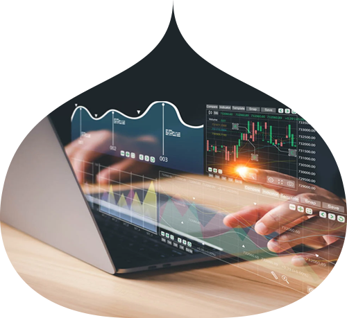 Faysal Exchange Price Graph